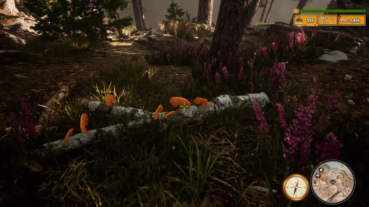 -Morels: The Hunt 2-游戏截图-好玩游戏库