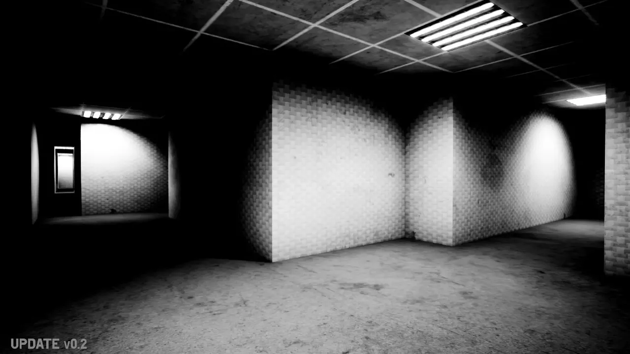 SKIBIDI BACKROOMS
