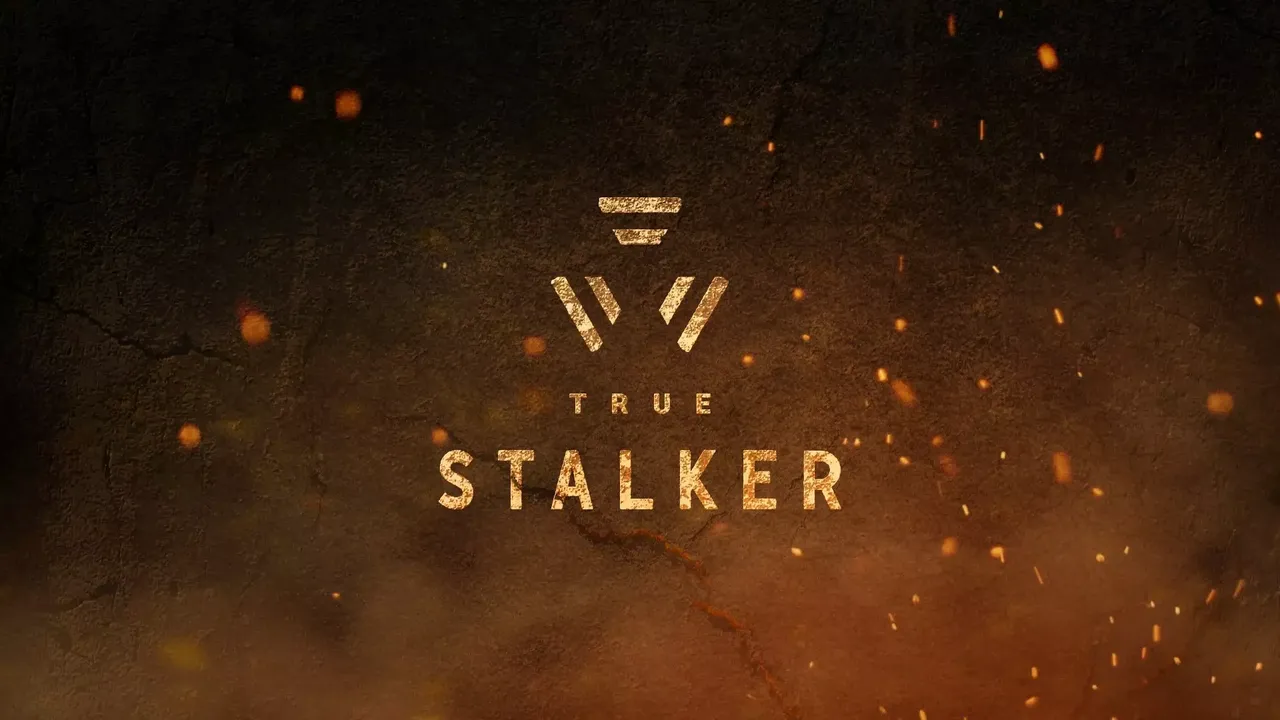 -True Stalker-游戏截图-好玩游戏库