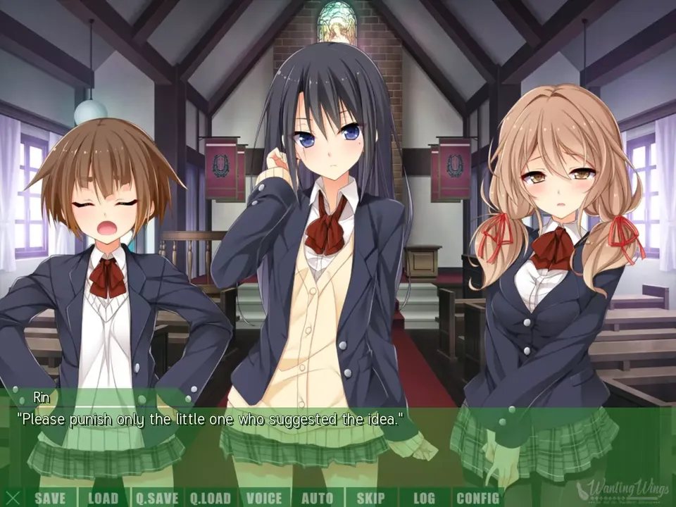 -Wanting Wings-游戏截图-好玩游戏库