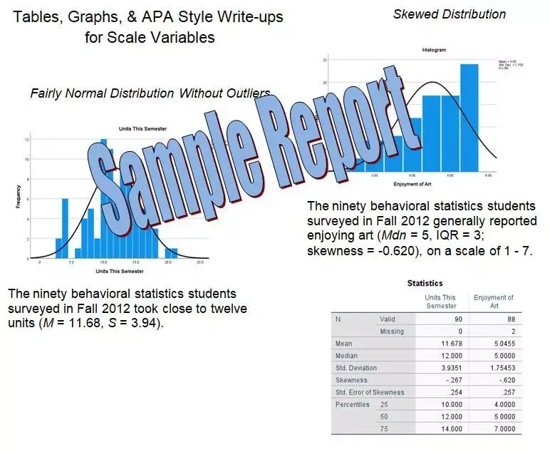-SPSS Now - Scale Variables-游戏截图-好玩游戏库