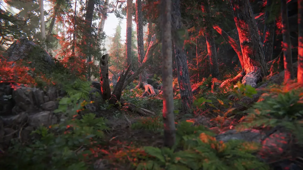 -The Forest Cathedral-游戏截图-好玩游戏库
