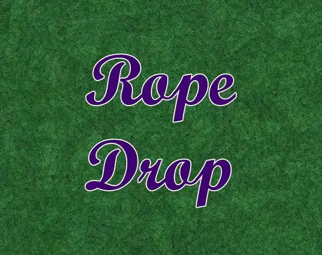 -Rope Drop-游戏截图-好玩游戏库