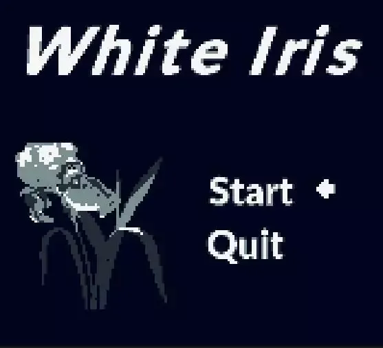 -White Iris-游戏截图-好玩游戏库