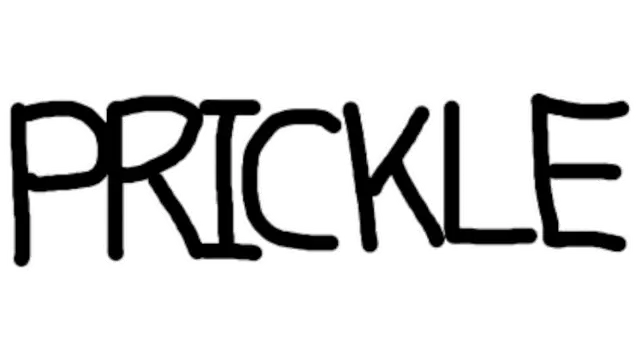 刺球 | Prickle LOGO