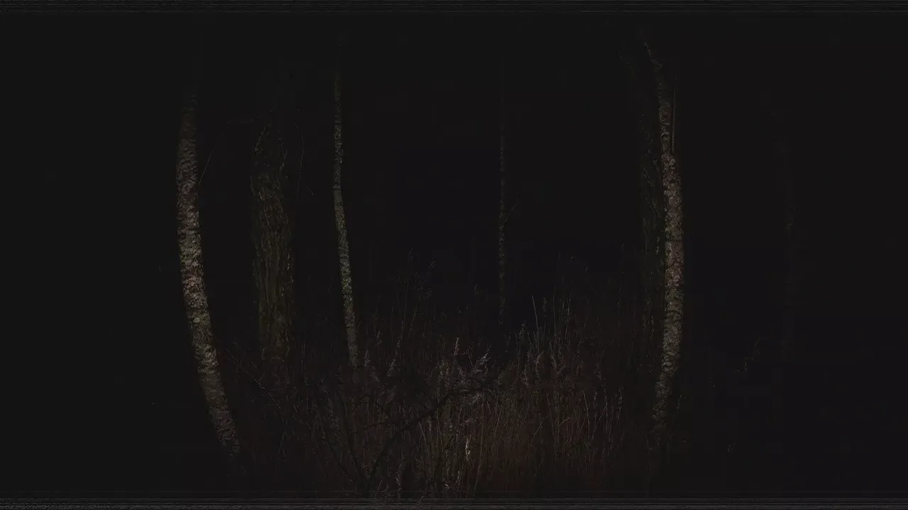 Paranormal VHS
