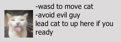 Kitty game (dsaman12)