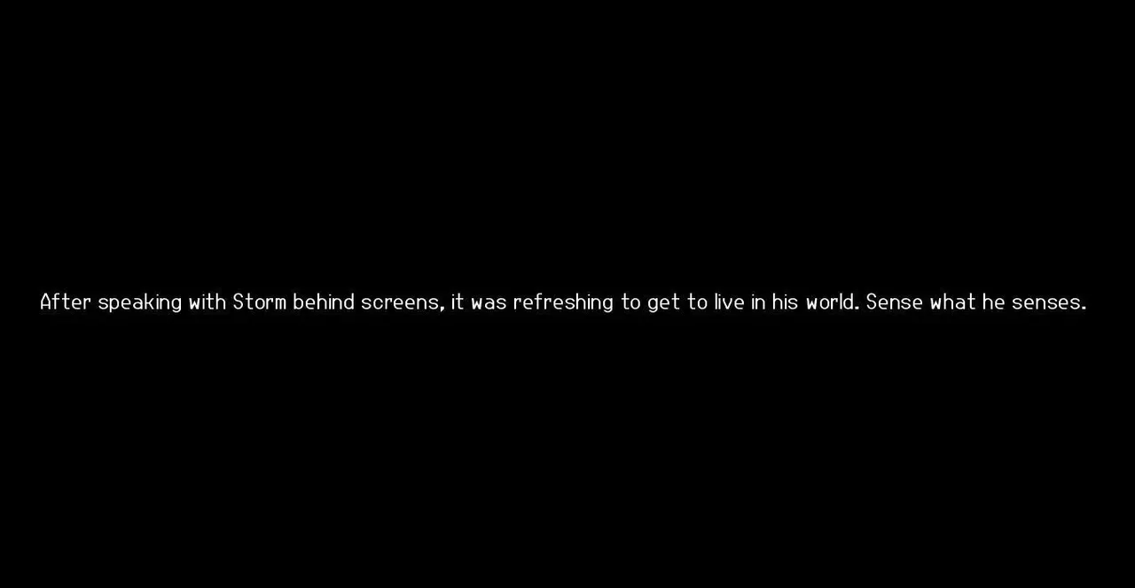 -Celebrating the Little Things: A Chaos Adventure-游戏截图-好玩游戏库