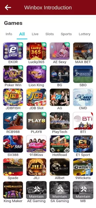 -WINBOX-游戏截图-好玩游戏库