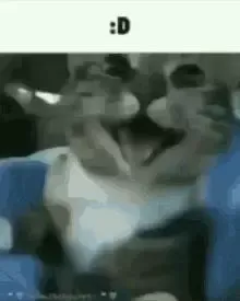 -pleh 3-游戏截图-好玩游戏库