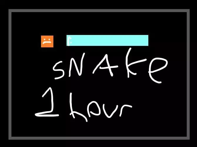 -Snake Made in an Hour-游戏截图-好玩游戏库