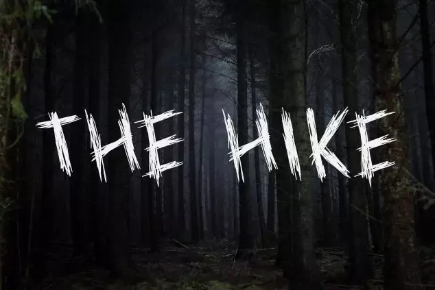 -The Hike (itch) (winterplague)-游戏截图-好玩游戏库