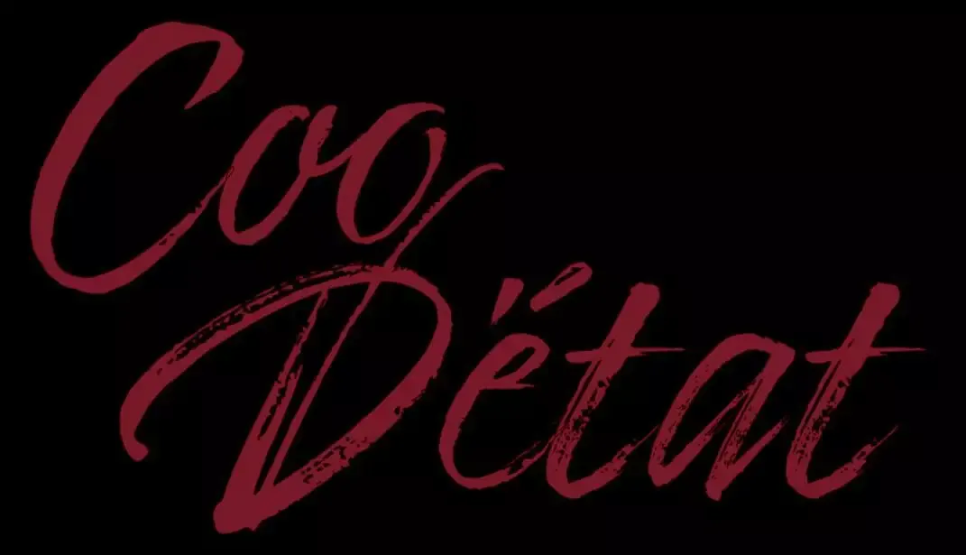 -Coo D'état-游戏截图-好玩游戏库