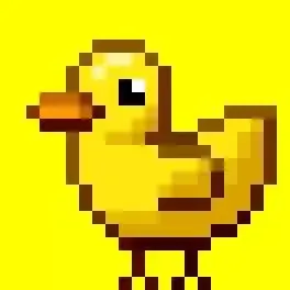 Ducky Adventures