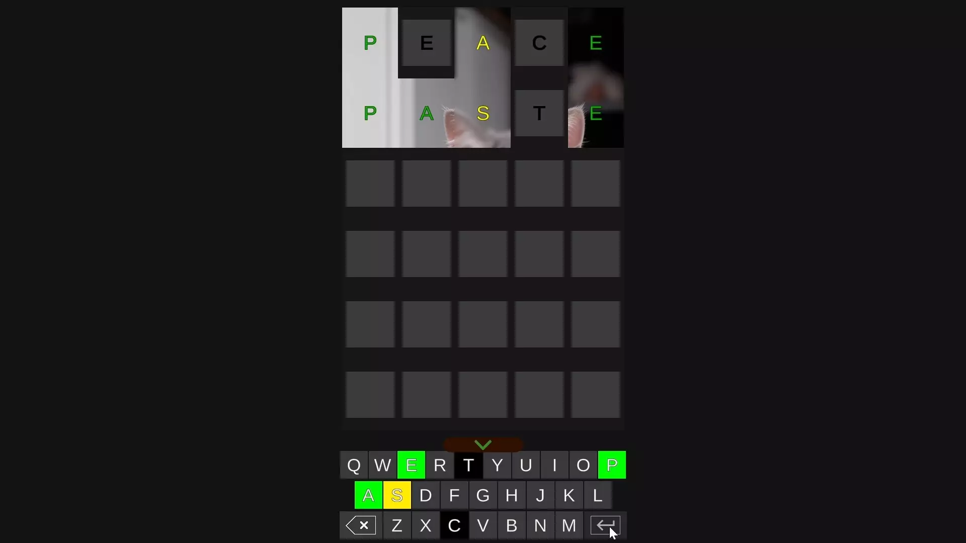 -pWordle-游戏截图-好玩游戏库