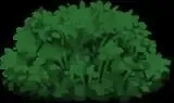 -bushles adventure-游戏截图-好玩游戏库