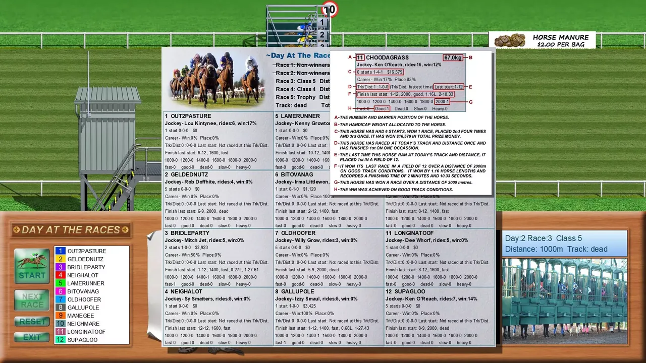 -Day at the Races-游戏截图-好玩游戏库