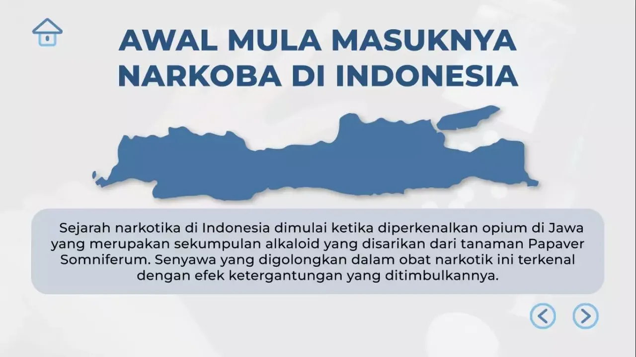 -Bahaya Kesehatan Akibat Narkoba-游戏截图-好玩游戏库