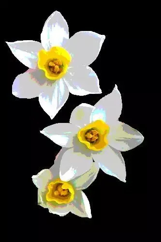 -narcissus (itch) (Xochitl)-游戏截图-好玩游戏库