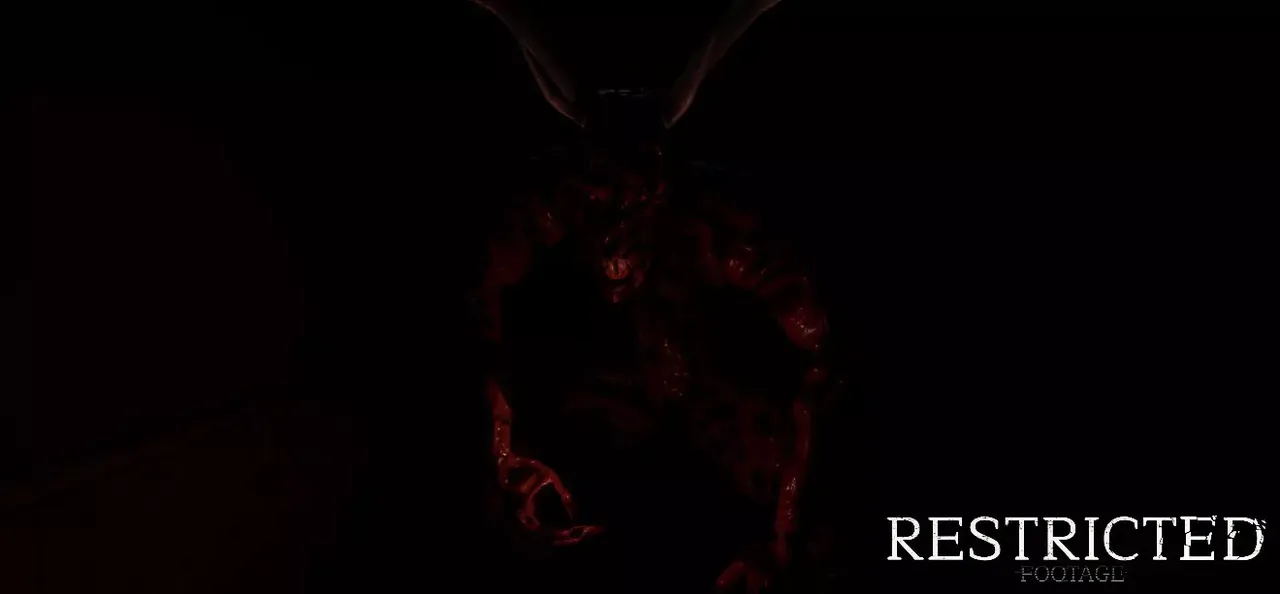 Restricted Footage