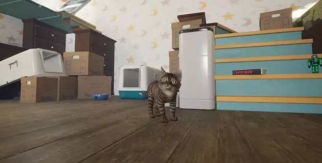Kitten Tales