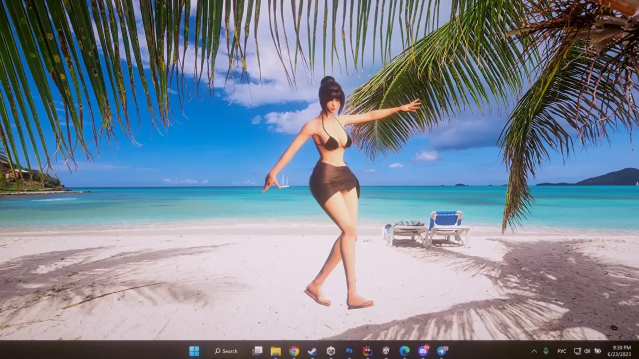 -Desktop Beach Girls-游戏截图-好玩游戏库