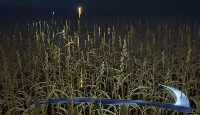 -Last Harvest (noah)-游戏截图-好玩游戏库