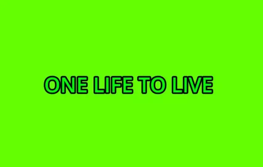 -One Life To Live-游戏截图-好玩游戏库