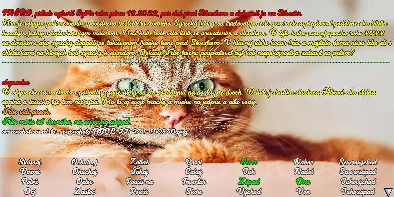 -Kocur-游戏截图-好玩游戏库