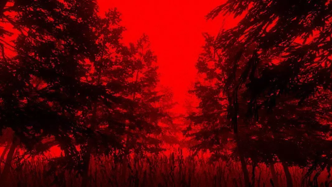 -Project 404 stories: forest(beta)-游戏截图-好玩游戏库