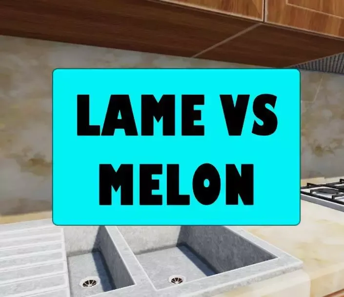 -Lame VS Melon-游戏截图-好玩游戏库