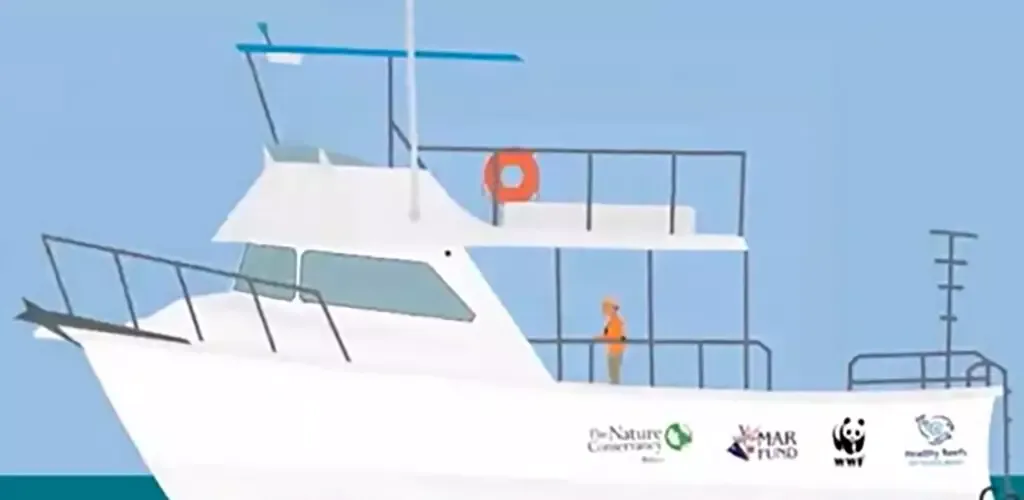 -Find the Whales-游戏截图-好玩游戏库