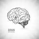 -brain box demo-游戏截图-好玩游戏库