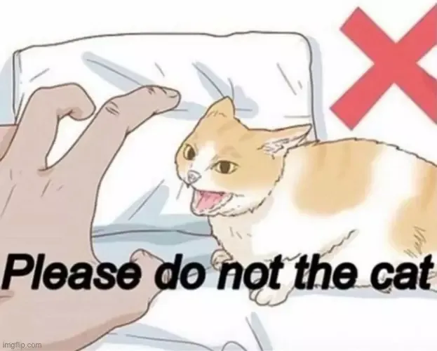 -Do not touch the cat!-游戏截图-好玩游戏库
