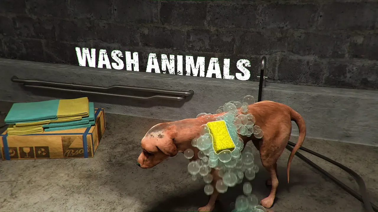 -Animal Shelter-游戏截图-好玩游戏库