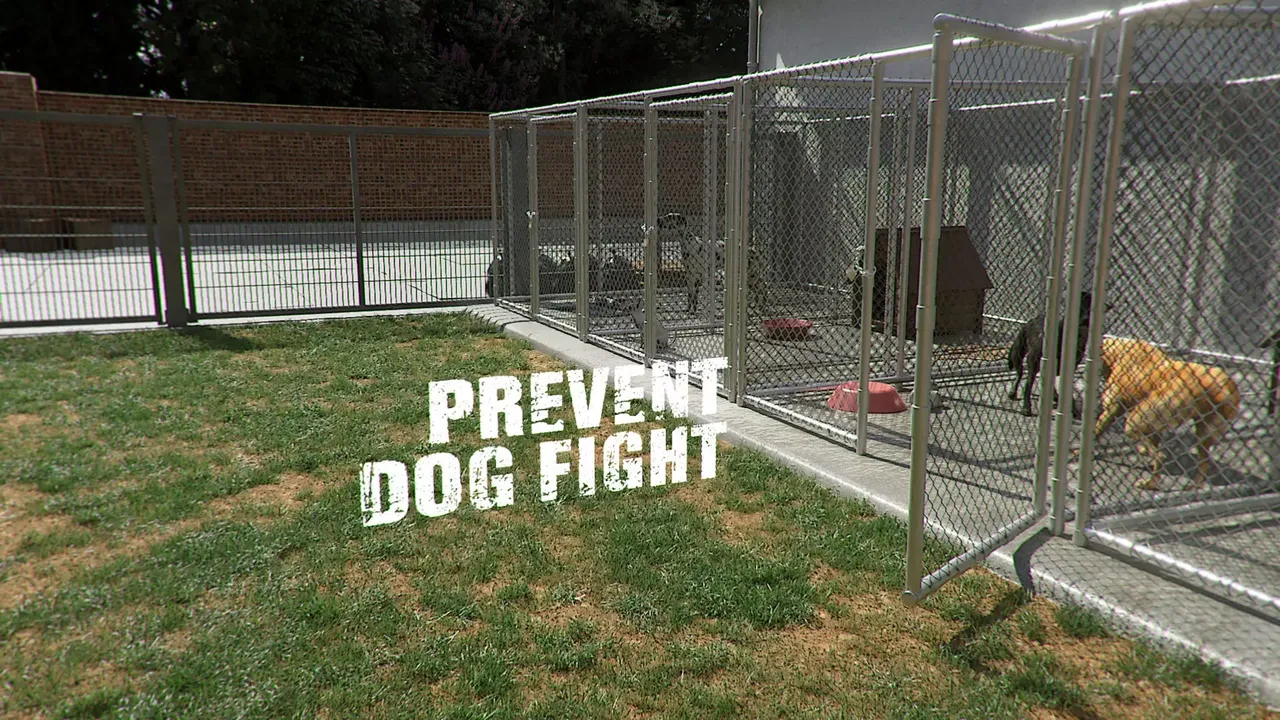 -Animal Shelter-游戏截图-好玩游戏库