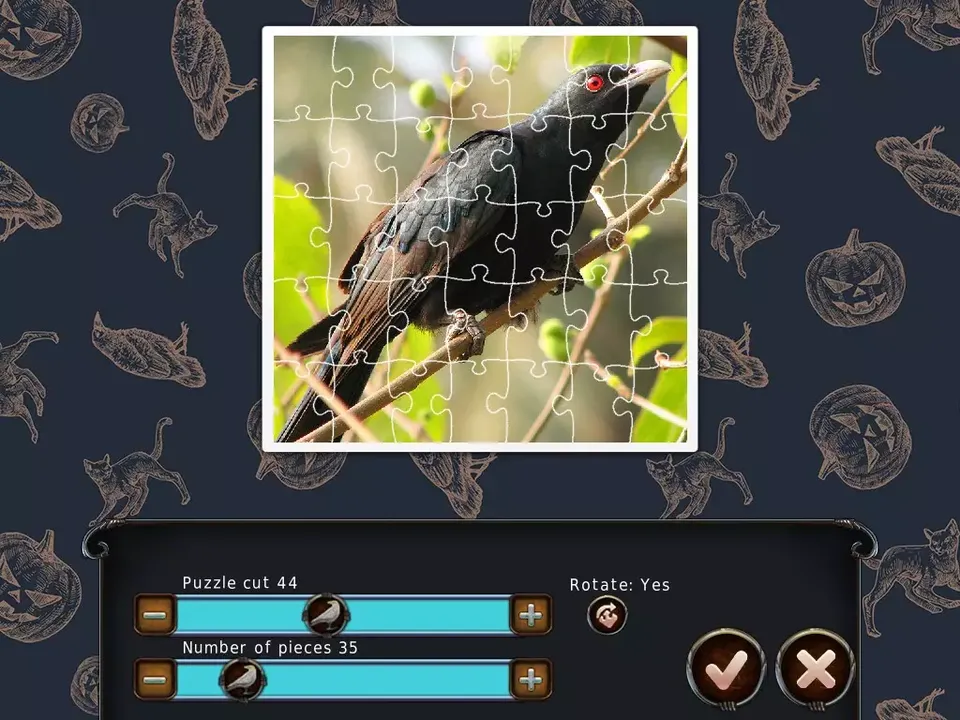 -1001 Black Raven Jigsaw-游戏截图-好玩游戏库