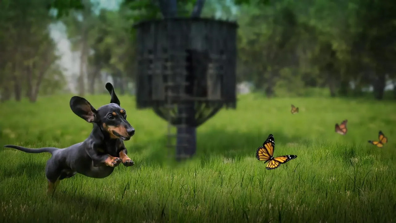 -The Lost Dachshund-游戏截图-好玩游戏库