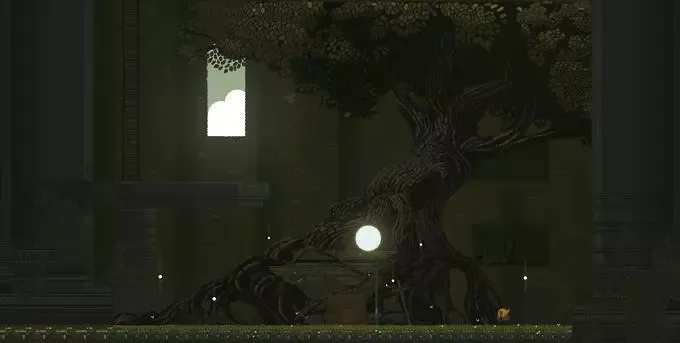 Doko Roko