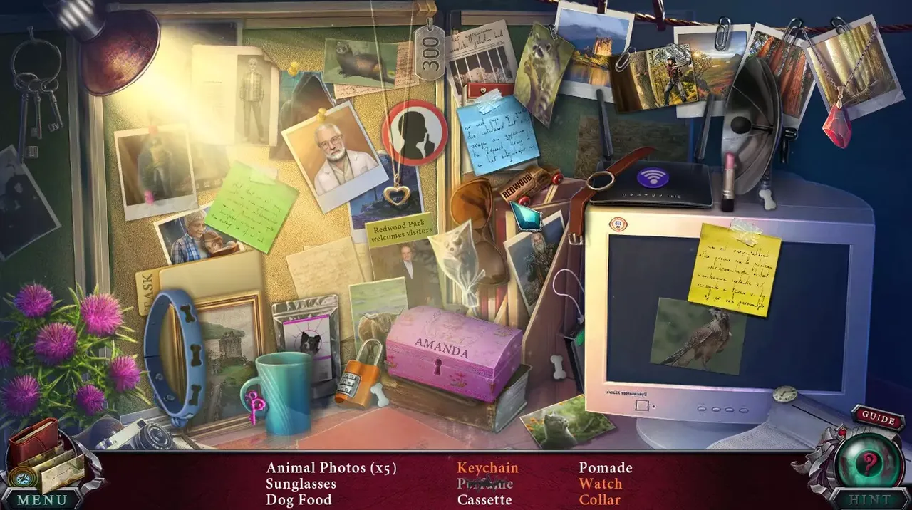 -Edge of Reality: Lost Secrets of the Forest Collector's Edition-游戏截图-好玩游戏库