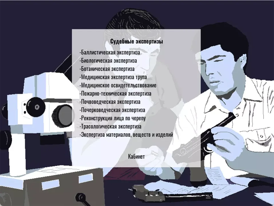 -Profession investigator-游戏截图-好玩游戏库