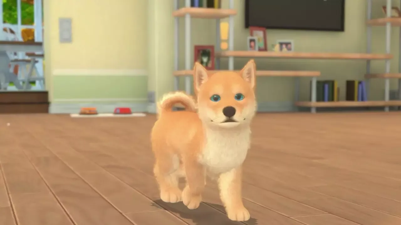 -My Universe - Puppies & Kittens-游戏截图-好玩游戏库