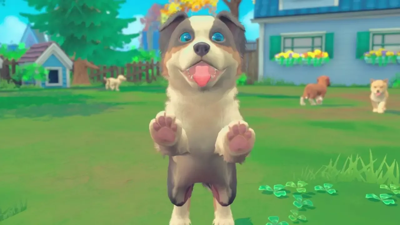 -My Universe - Puppies & Kittens-游戏截图-好玩游戏库