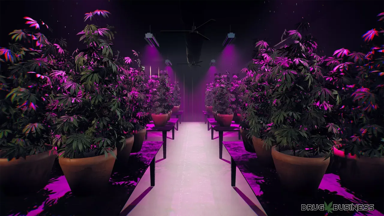 -Drug Business-游戏截图-好玩游戏库