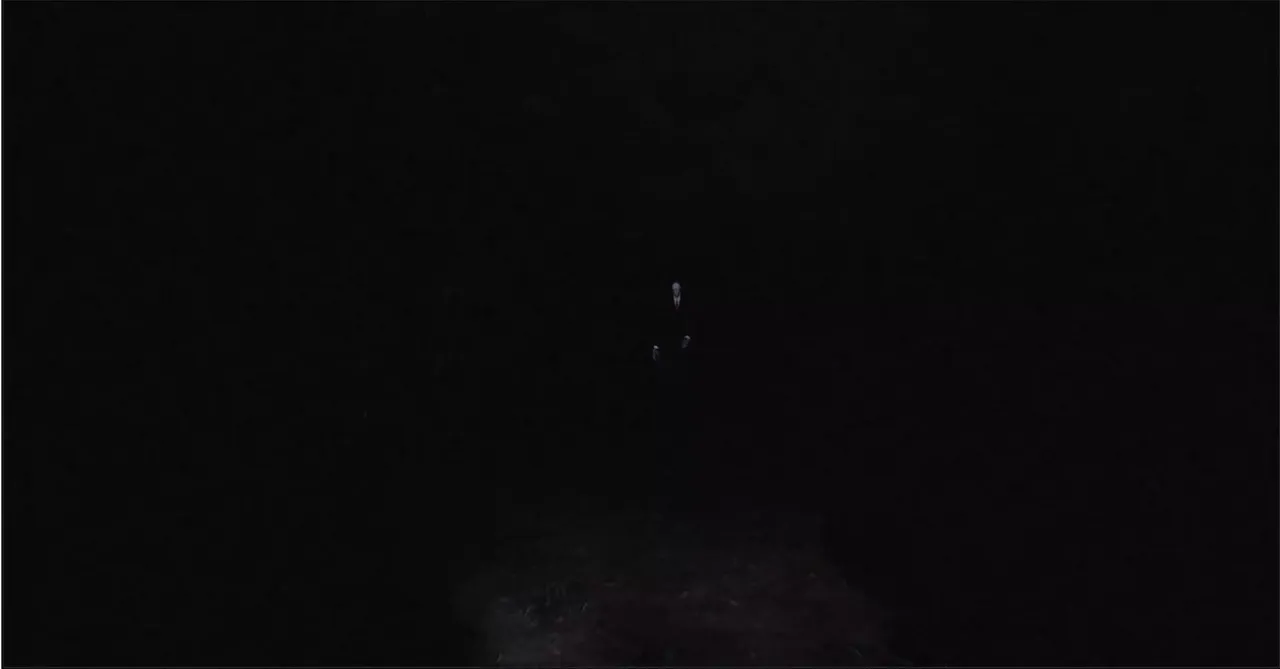 -Slenderman The eight pages RTX-游戏截图-好玩游戏库