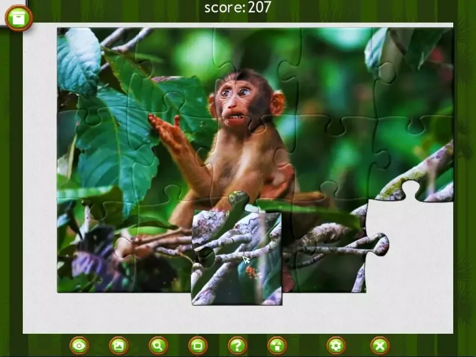 -1001 Jigsaw. Wild Animals-游戏截图-好玩游戏库