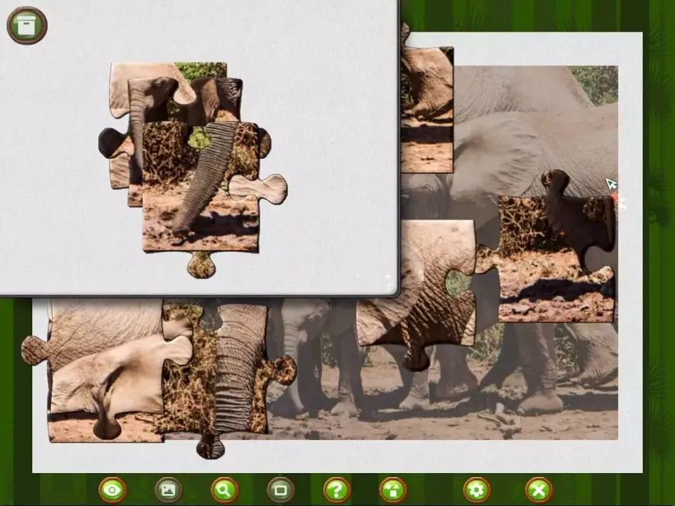 -1001 Jigsaw. Wild Animals-游戏截图-好玩游戏库
