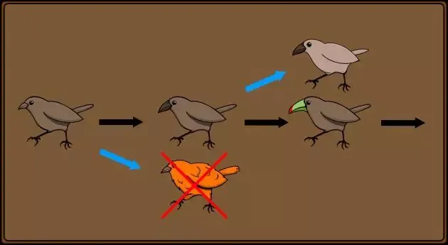 -Evolution - Cards Through The Ages-游戏截图-好玩游戏库