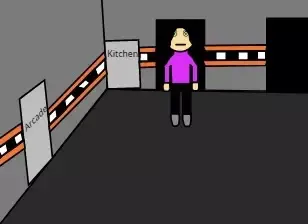 -Five Night's At ElisStuff's-游戏截图-好玩游戏库