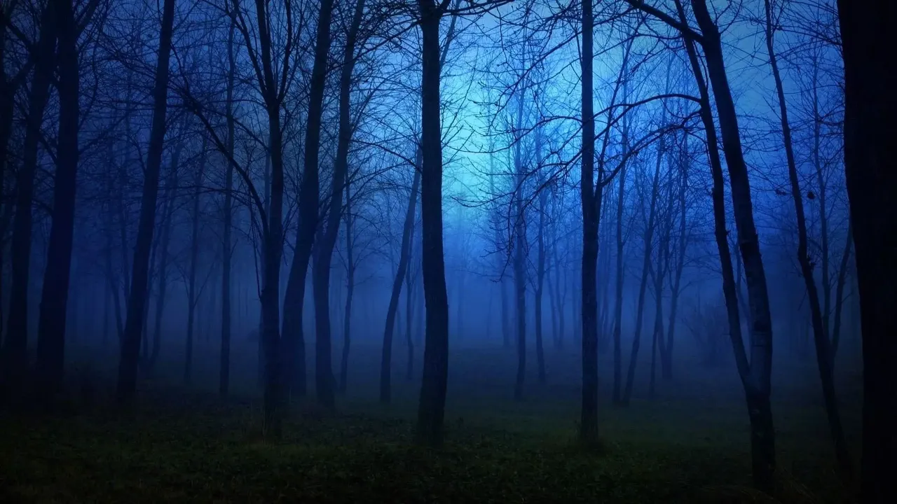 -Spongebob in Dark Forest-游戏截图-好玩游戏库